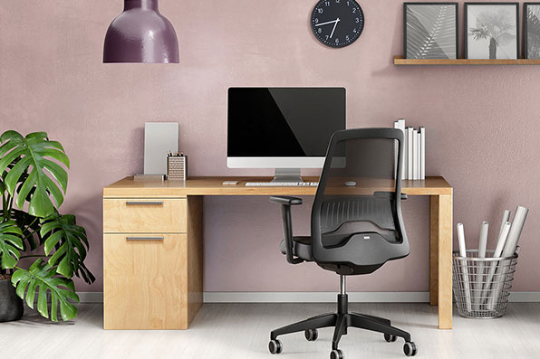 Bruintjes Ergonomie ergo coach voor thuis
